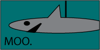 Pinata shark says moo.